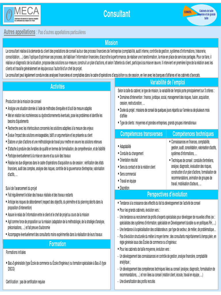 Conseil en Expertise Comptable et Audit | PDF | Consultant | Fusions et ...