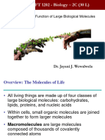 Macromolecules