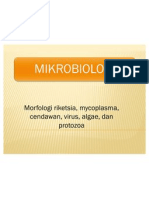 morfologi riketsia,mycoplasma,cendawan,virus,alage dan protozoa