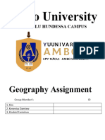 Ambo University Geography Assignment Final