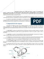 Técnicas de Cacheo Policial y Requisa | PDF