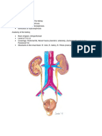 Hydronephrosis Outline