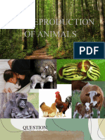 The Reproduction of Animals