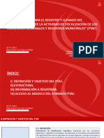 Pautas para Registro Del Plan de Trabajo de La Actividad de Fiscalizacion Ptaf