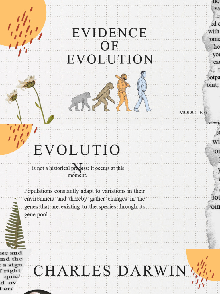 Evidence of Evolution - Module 6 | PDF | Fossil | Vertebrates