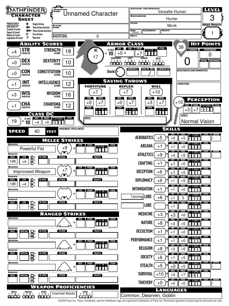 Character Sheet Overview | PDF | Gary Gygax Games | Role Playing Games