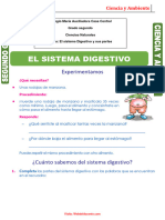 El Sistema Digestivo para Segundo Grado de Primaria