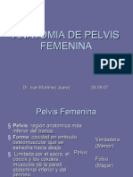 Anatomia de Pelvis Femenina