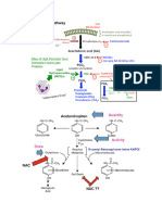 Farmacocinética