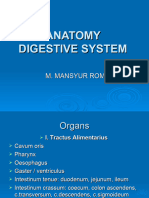 Anatomi Sistem Digesti.1