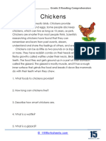 Chickens: Grade 3 Reading Comprehension