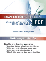 Bai2-Chiến Lược PNRR Và Đầu Cơ Bằng Quyền Chọn