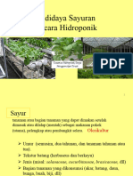 Hidroponik - Sayuran