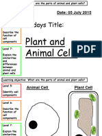 Plant and Animal Cells PP