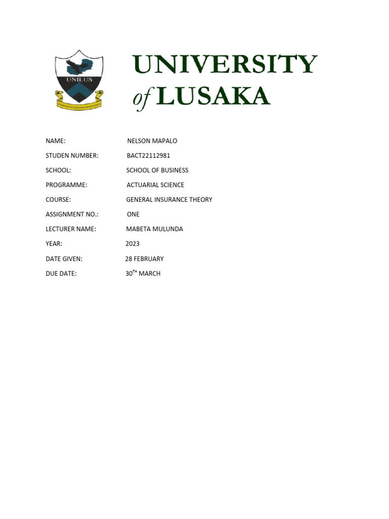 Nelson Mapalo Bact22112981general Insurance Assignment | PDF ...