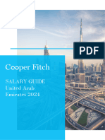 2024 UAE Salary Guide