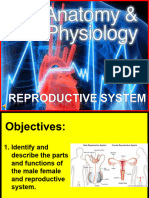 Reproductive System For Reviewer