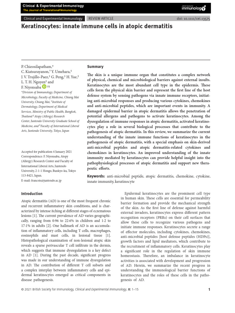 Keratinocytes - Innate Immune Cells in Atopic Dermatitis | PDF | Immune ...