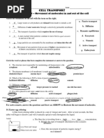 2 - Cell Transport