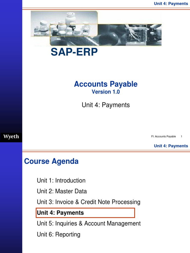 SAP Accounts Payable Payment Process | PDF