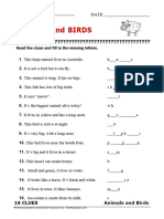16 Clues Animals Birds