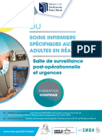 Du Soins Infirmiers Specifiques Aux Patients Adultes en Reanimation 2022 2023