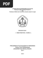 Download LAPORAN PRAKTIKUM MIKROBIOLOGI by Ninda Rizkiyani SN71662751 doc pdf