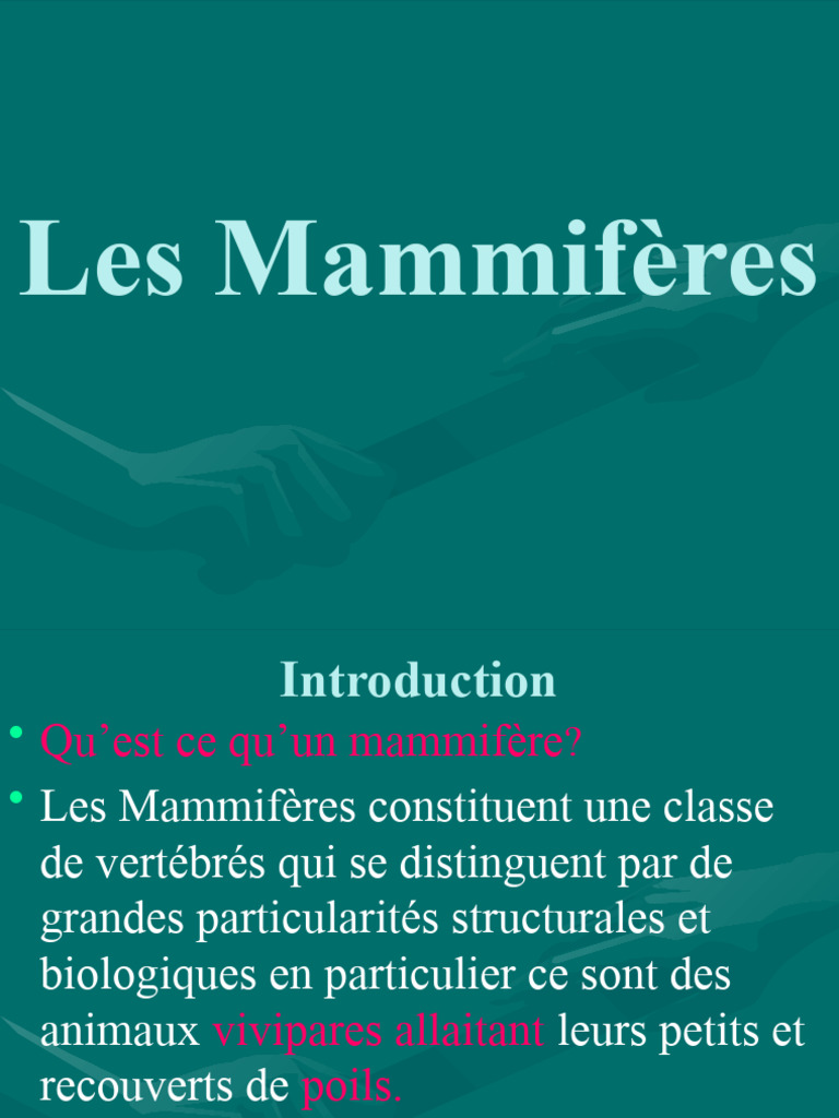 Les Mammifères 1ere Partie 2020 PDF Maison et jardin Bienêtre — free download