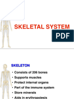 02 Muskuloskeletal 2