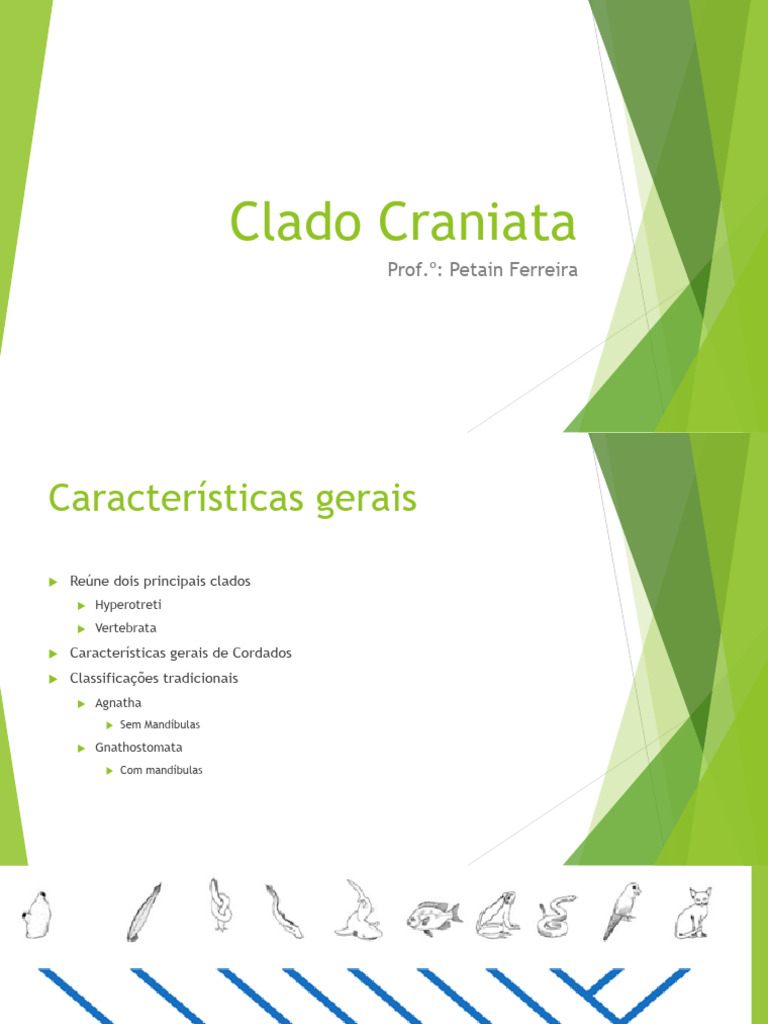 Características do Clado Craniata | PDF | Anatomia | Peixes