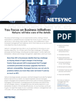 Netsync Managed Services Collateral