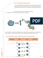 DNA and The Genome Separate