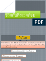 U4 Envir PDF