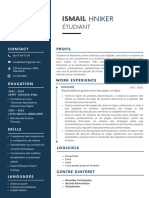 Blue Simple Professional CV Resume