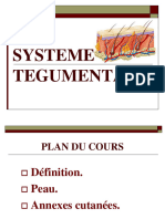 Systeme Tegumentaire Peau Et Phaneres