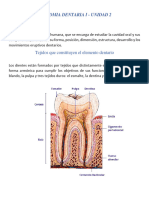 Anatomia Dentaria Unidad 2