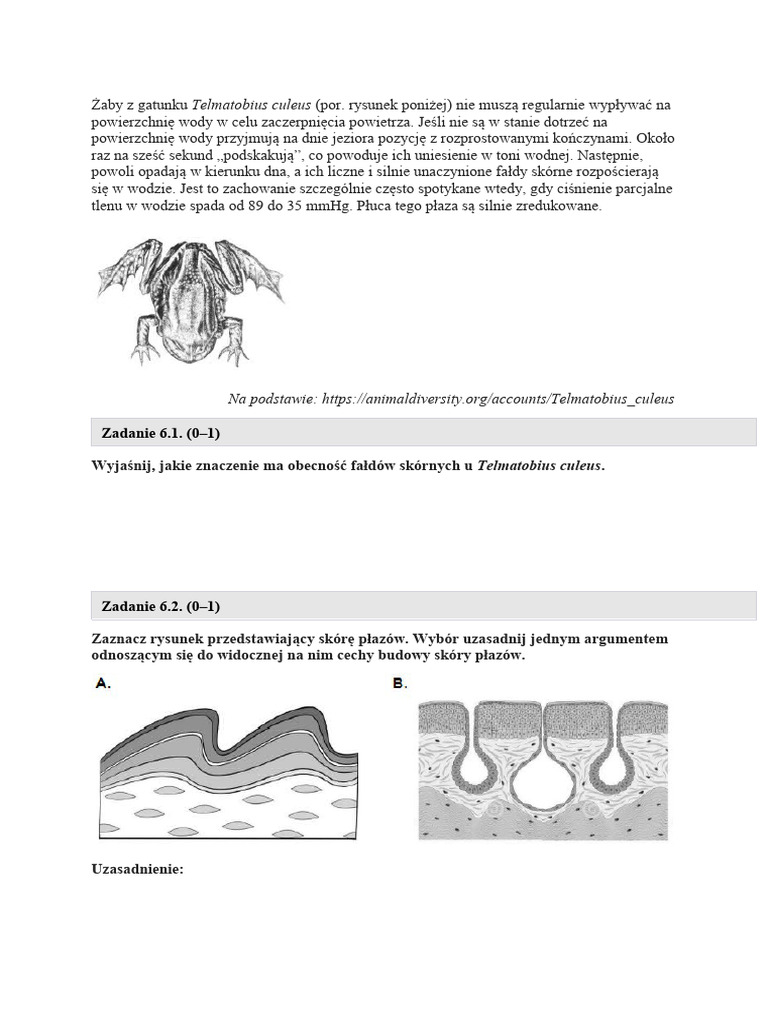 Ryby Płazy | PDF