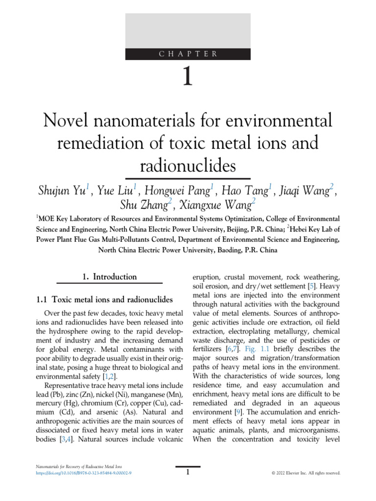 Chapter 1 Novel Nanomaterials | PDF | Nanotechnology | Chromium