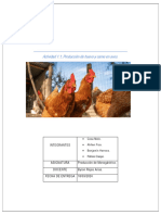 Informe Aves de Carne y Huevos