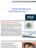 Hormone Feedback and Pregnancy BIO X Learners