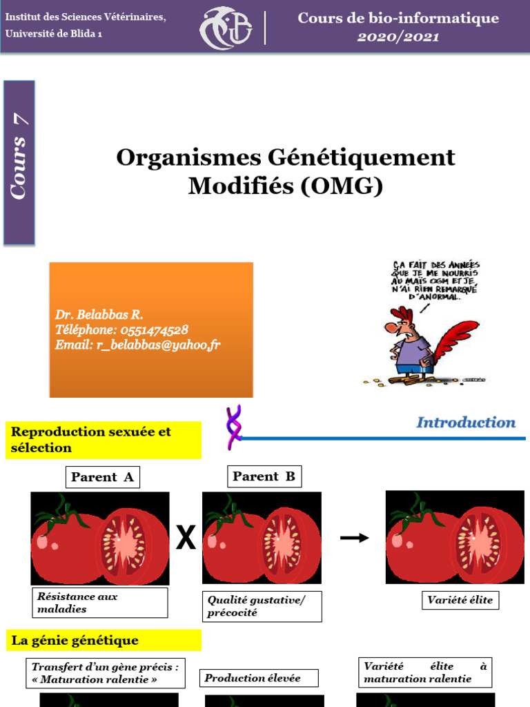 Introduction aux Organismes Génétiquement Modifiés | PDF | Organisme ...