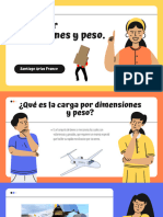 Carga Por Dimensiones y Peso