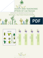 Pretty Cactus Background Powerpoint Template