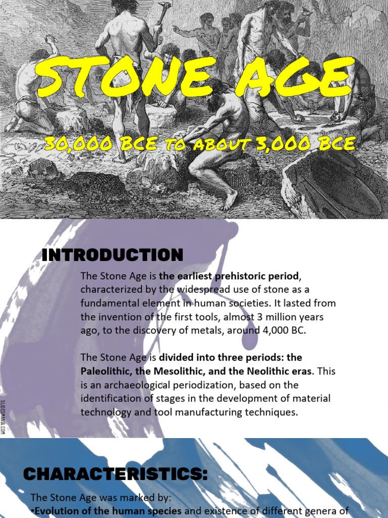 Overview of the Stone Age Eras | PDF | Homo | Stone Age