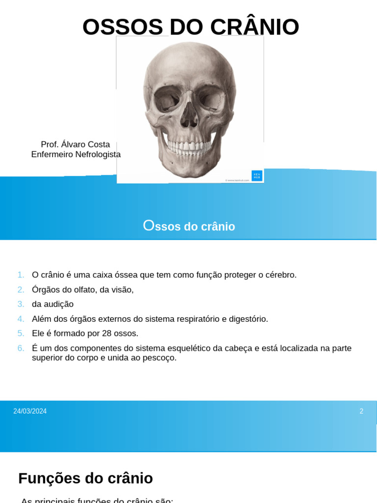 Aula 1 Ossos Do Cranio Pdf Crânio Orelha