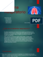 Sistema Respiratorio