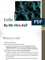 Cells