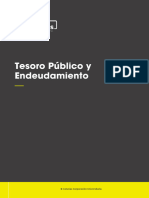 Tesoro Publico y Endeudamiento