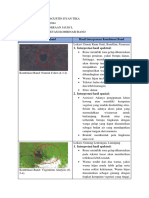 Sukma Agustin D.T - 211510301044 - Interpretasi Landsat 8 - Composite Band