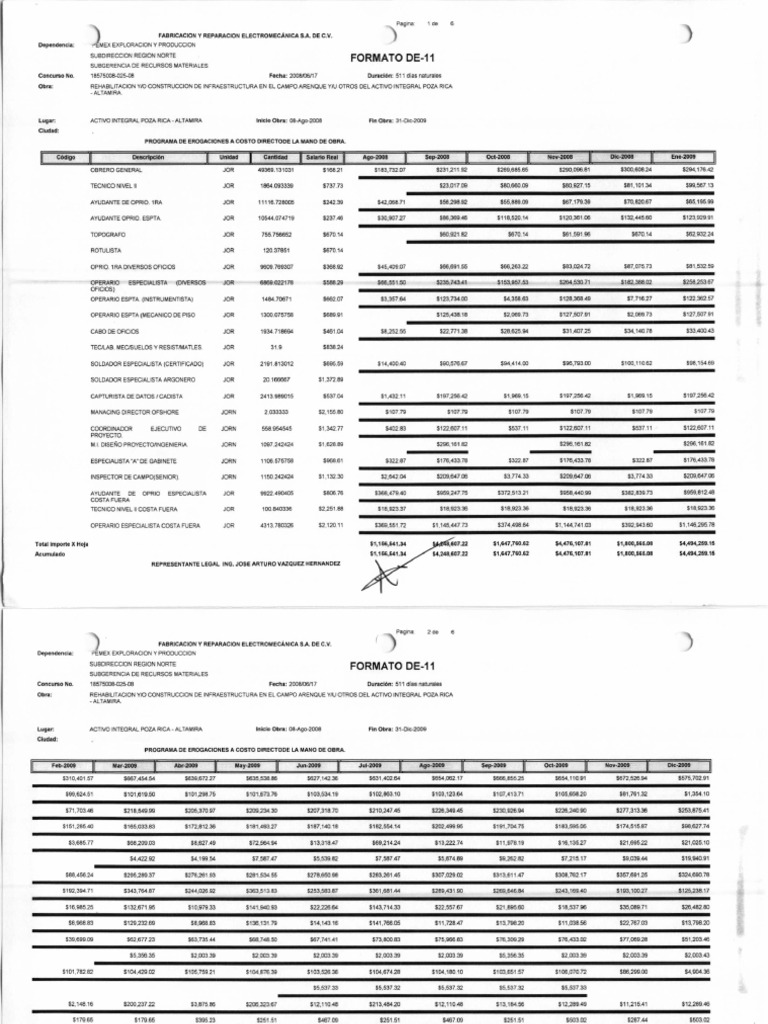 Formato de 11 | PDF